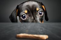 Pulsions alimentaires : comment les gérer et les maîtriser